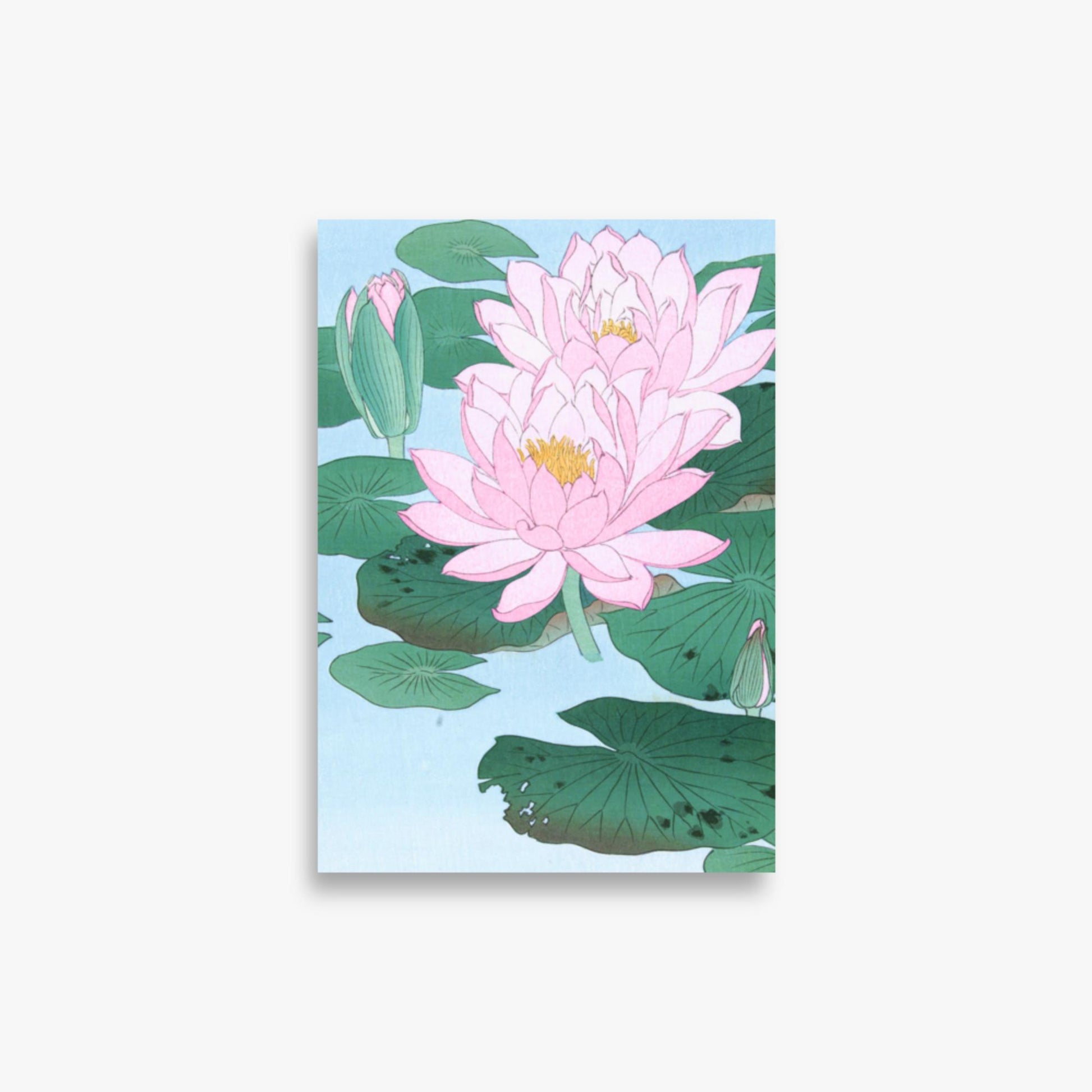 Ohara Koson - Water Lily 21x30 cm Poster