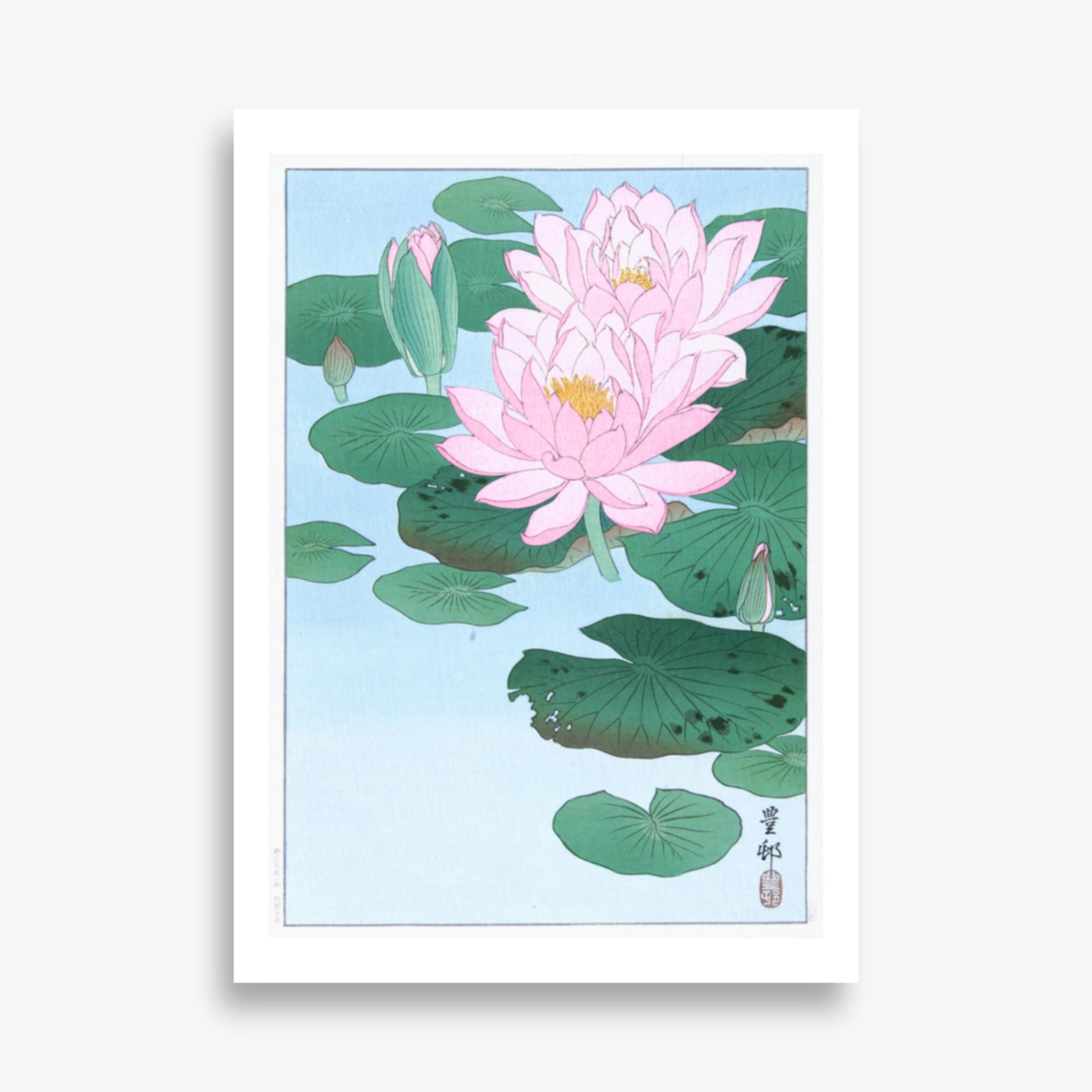 Ohara Koson - Water Lily 50x70 cm Poster