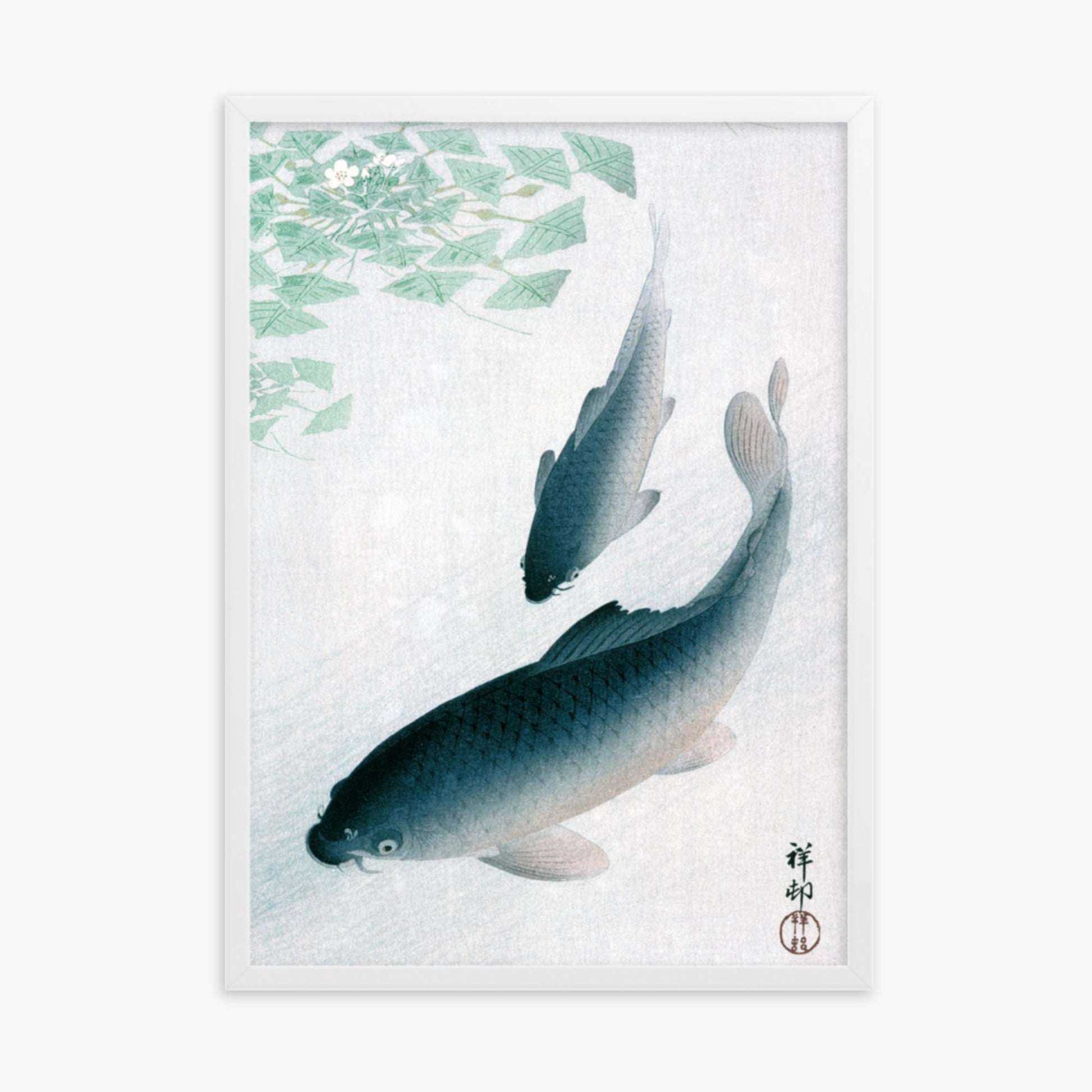 Ohara Koson - Carp or Koi 50x70 cm Poster With White Frame