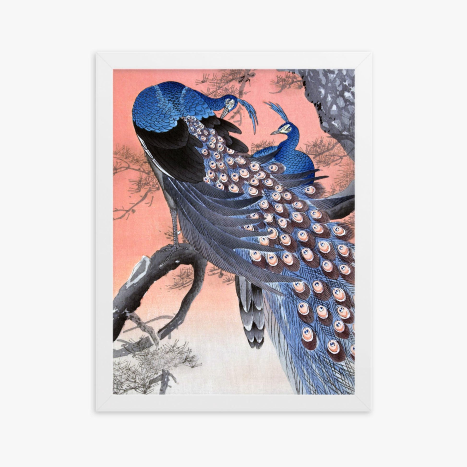 Ohara Koson - Two Peacocks on Tree Branch 30x40 cm Poster With White Frame