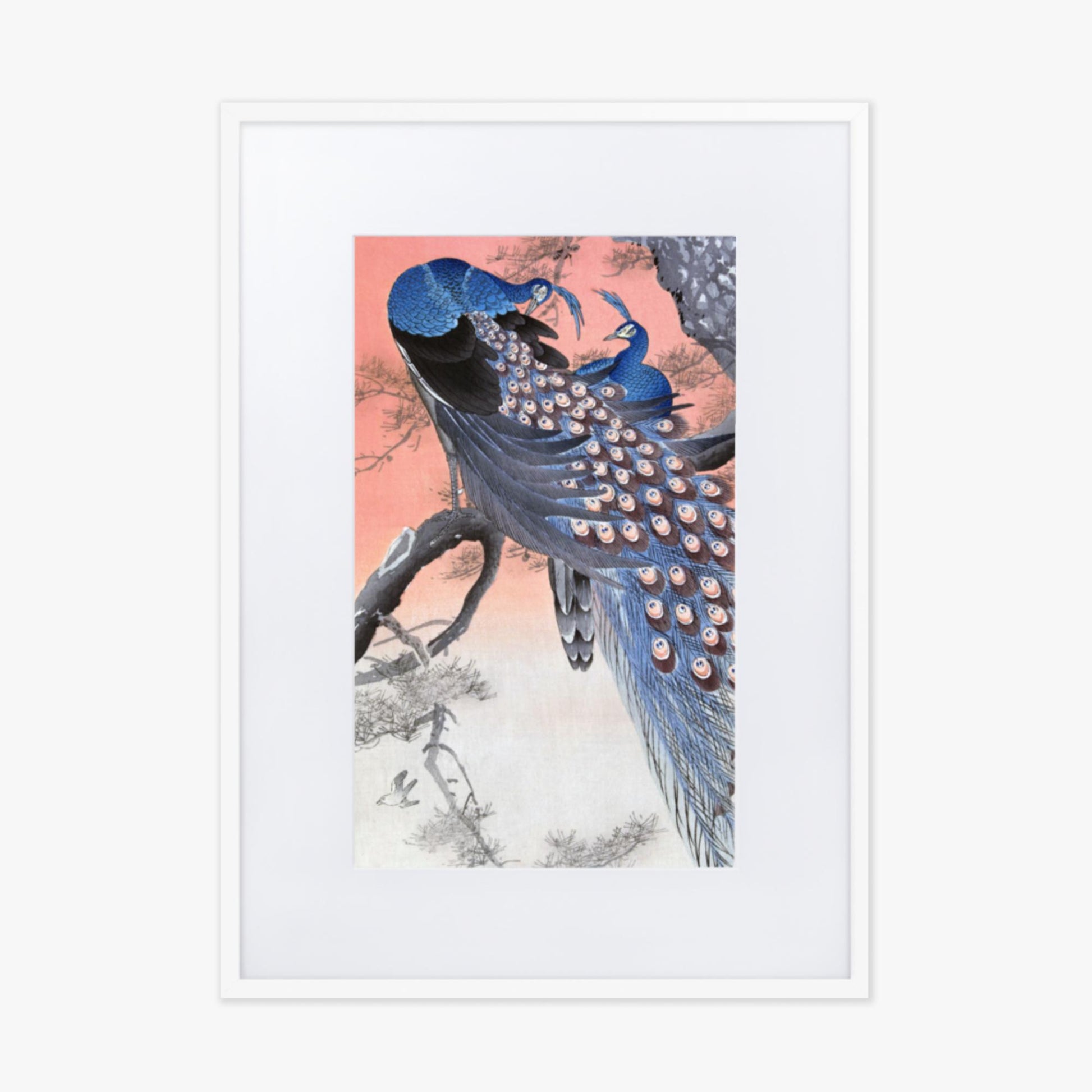 Ohara Koson - Two Peacocks on Tree Branch 50x70 cm Poster With White Frame