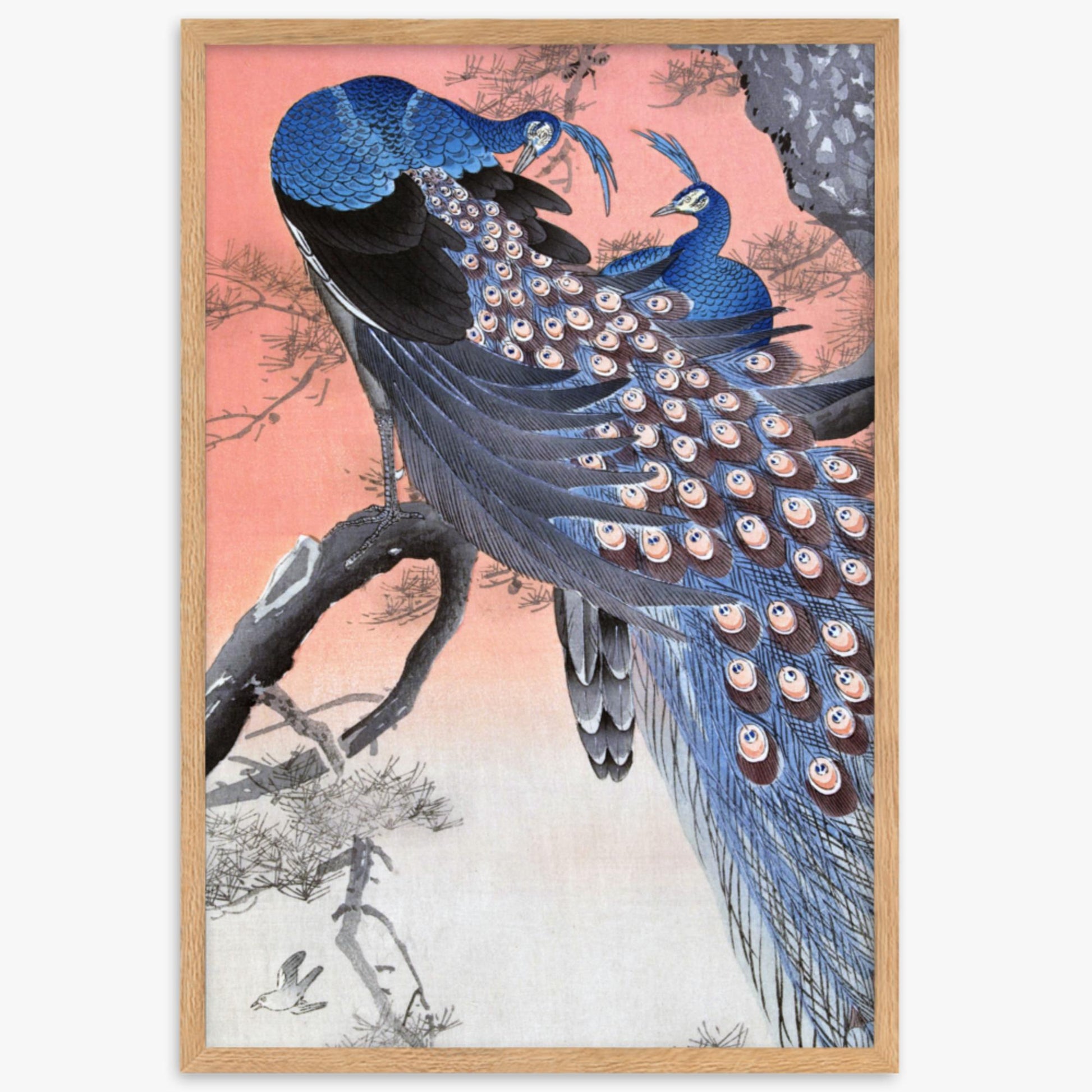 Ohara Koson - Two Peacocks on Tree Branch 61x91 cm Poster With Oak Frame