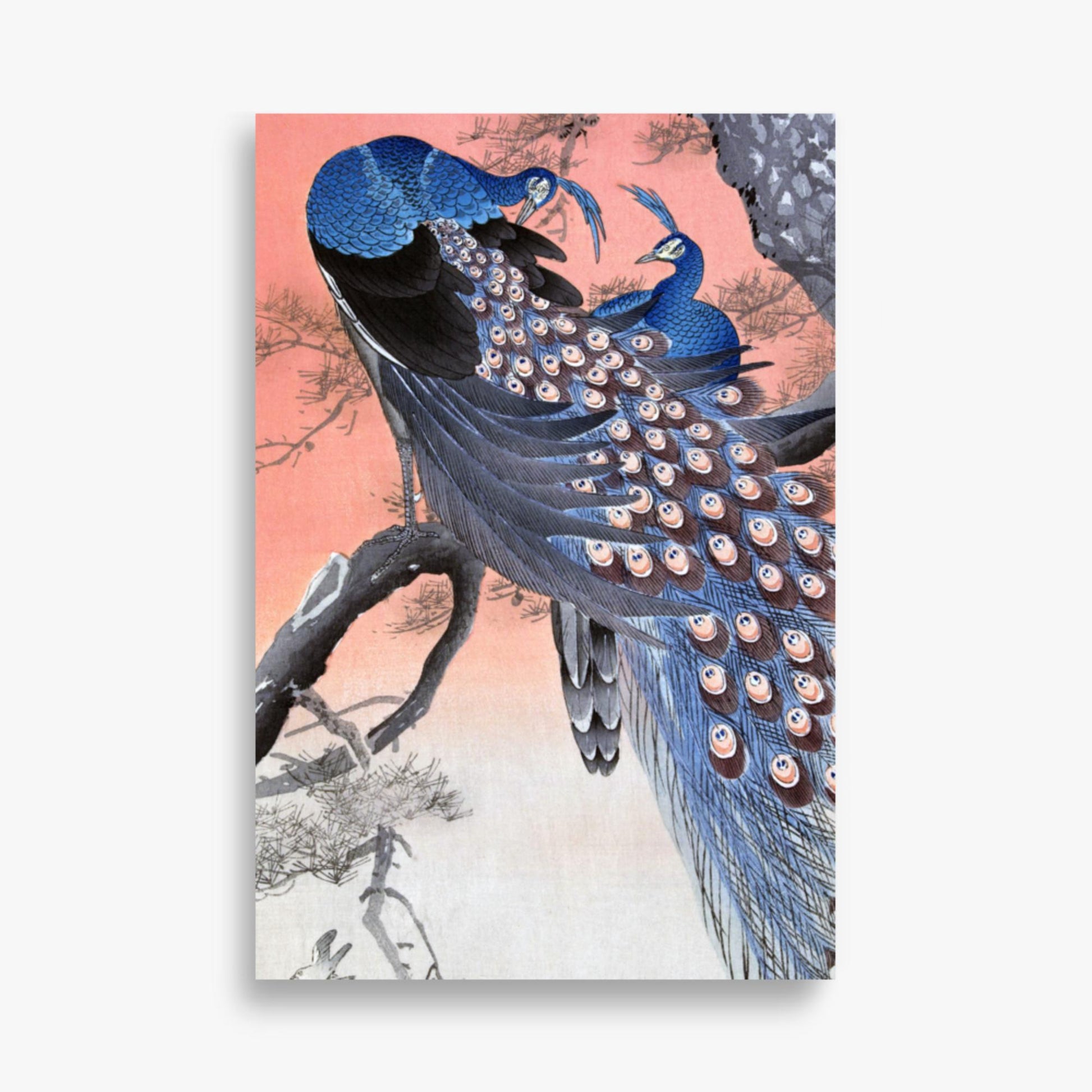 Ohara Koson - Two Peacocks on Tree Branch 61x91 cm Poster