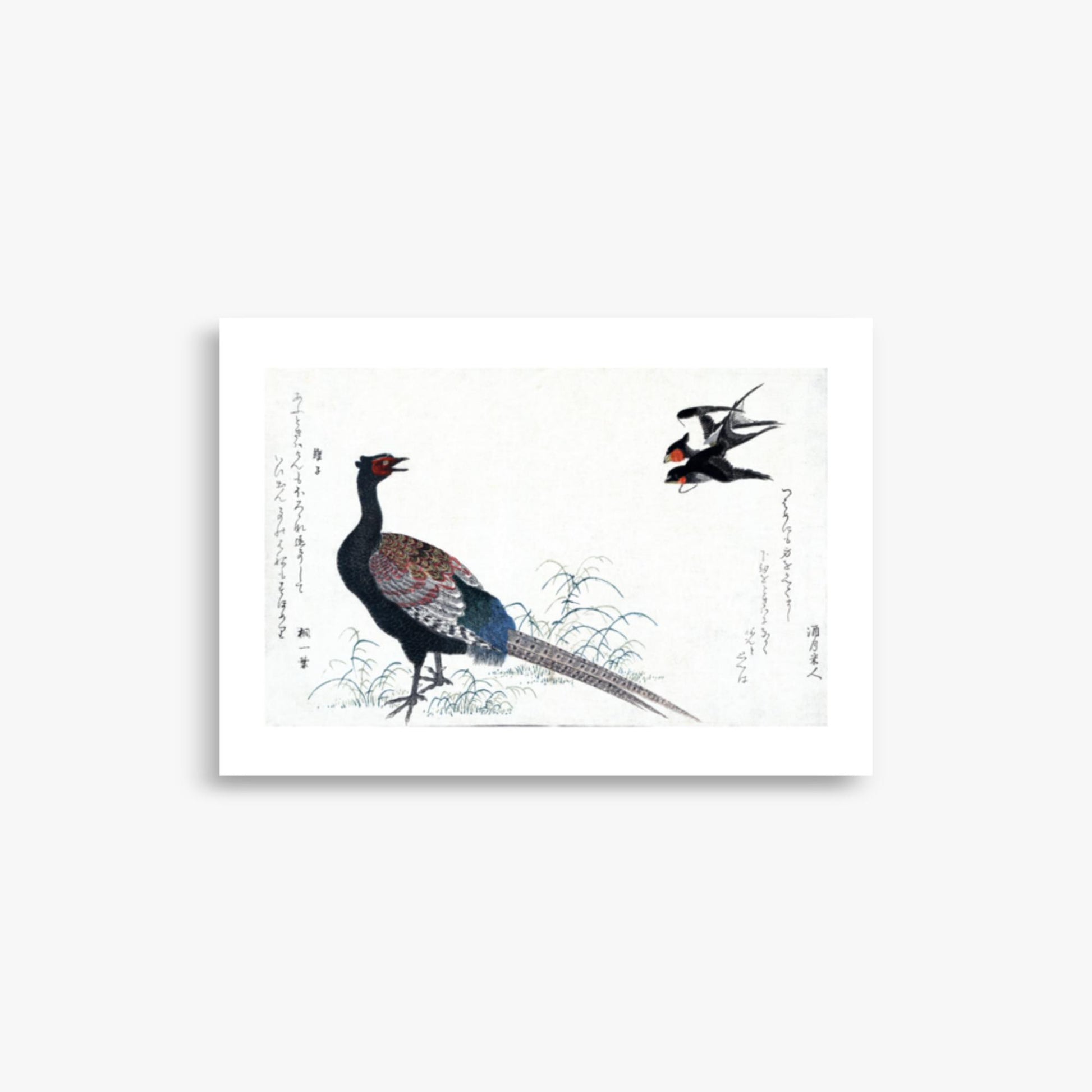 Utamaro Kitagawa - Swallows and Pheasant 21x30 cm Poster