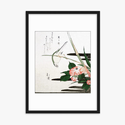 Totoya Hokkei - Warbler and Camellia 50x70 cm Poster With Black Frame