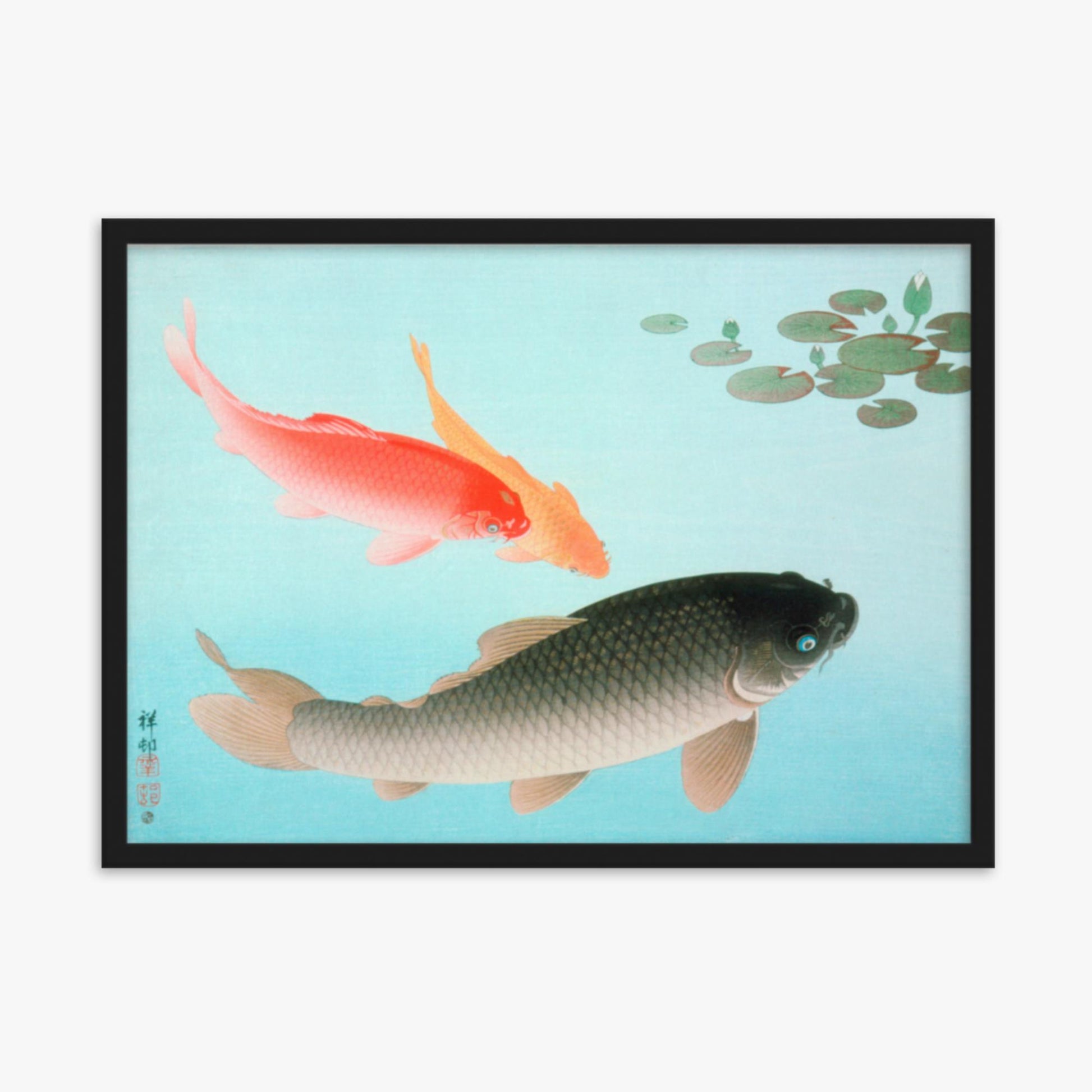 Ohara Koson - Common and Golden Carp 50x70 cm Poster With Black Frame