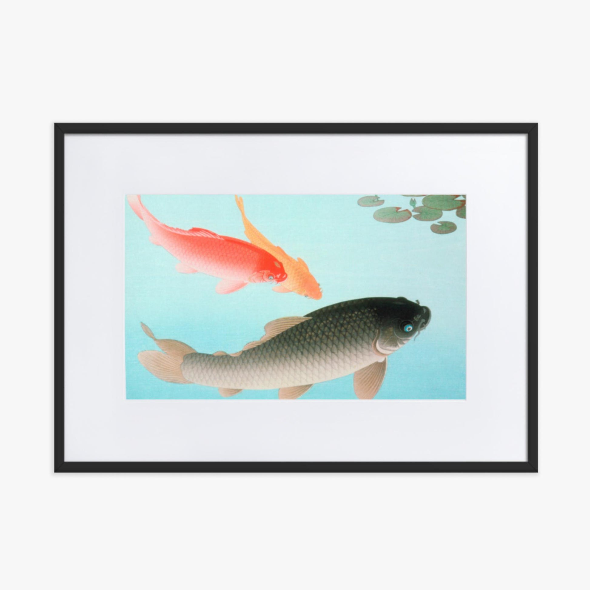 Ohara Koson - Common and Golden Carp 50x70 cm Poster With Black Frame