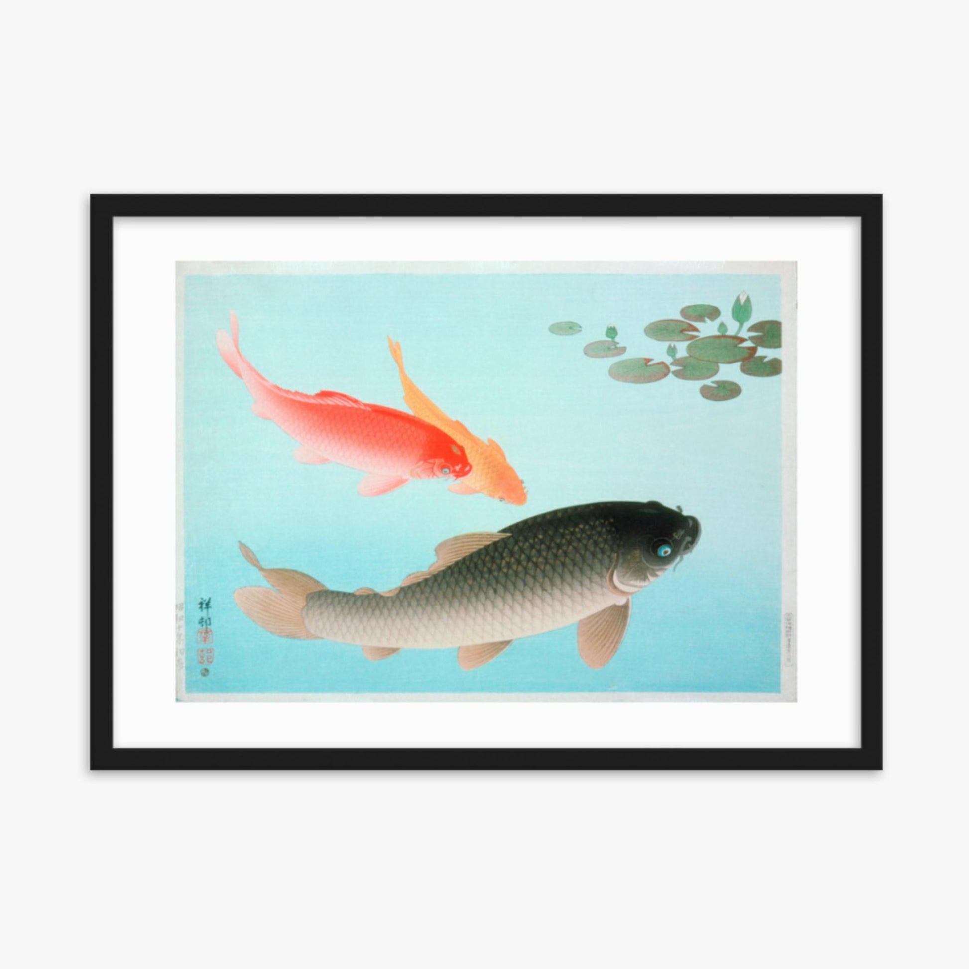 Ohara Koson - Common and Golden Carp 50x70 cm Poster With Black Frame