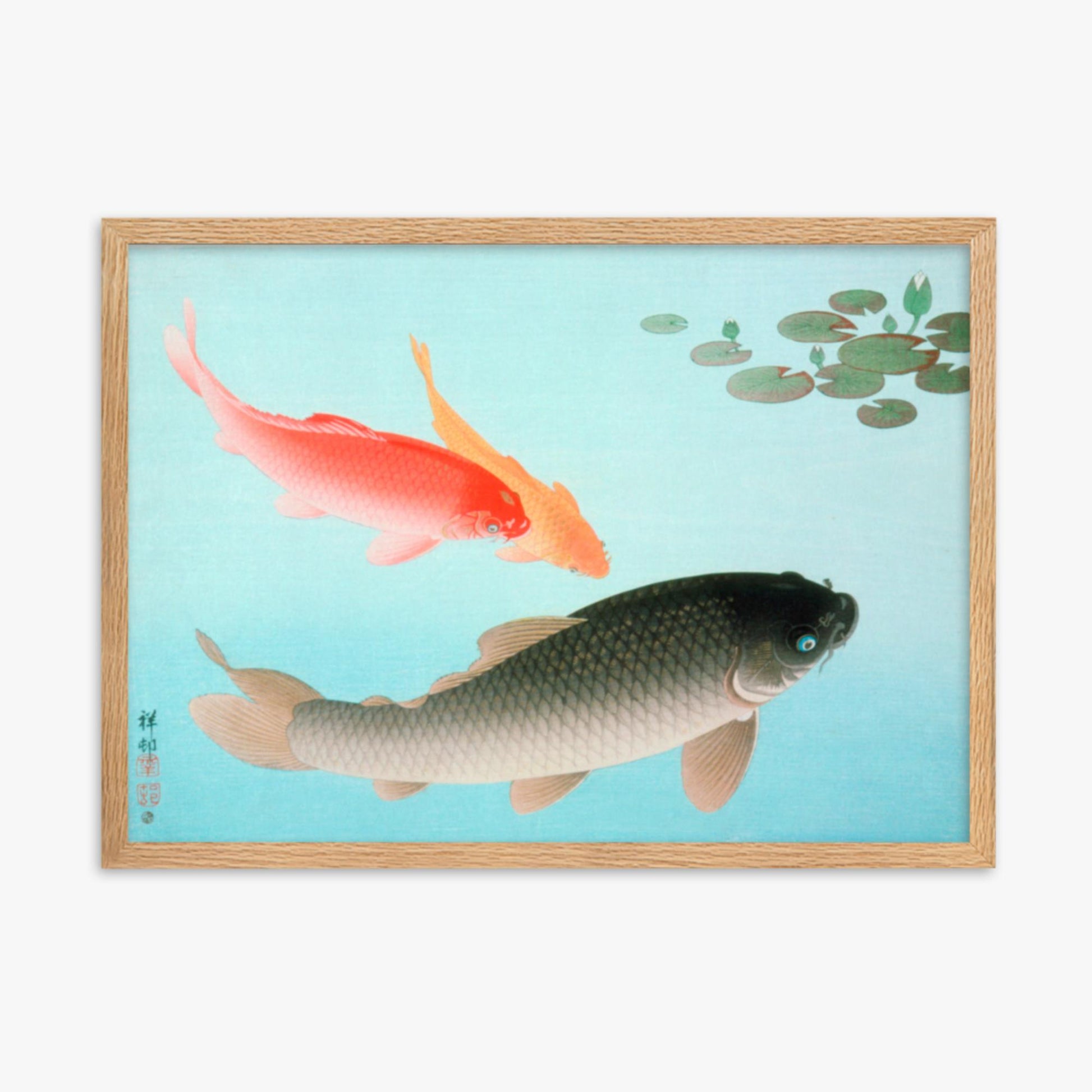 Ohara Koson - Common and Golden Carp 50x70 cm Poster With Oak Frame