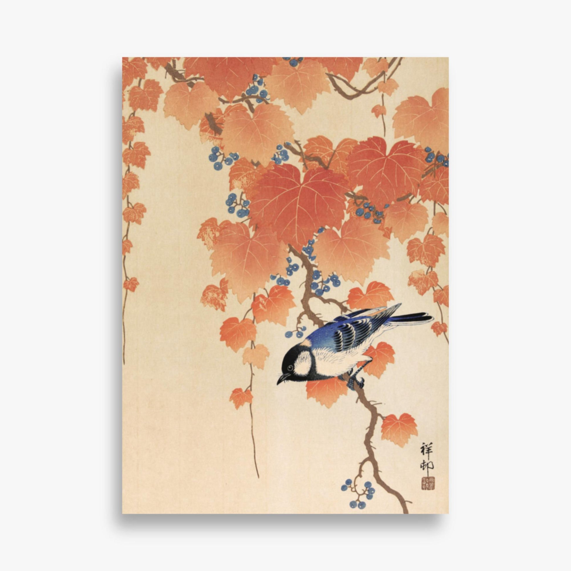 Ohara Koson - Great tit on paulownia branch 50x70 cm Poster