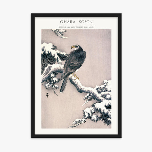 Ohara Koson - Goshawk on Snow-covered Pine Bough  - Decoration 50x70 cm Poster With Black Frame