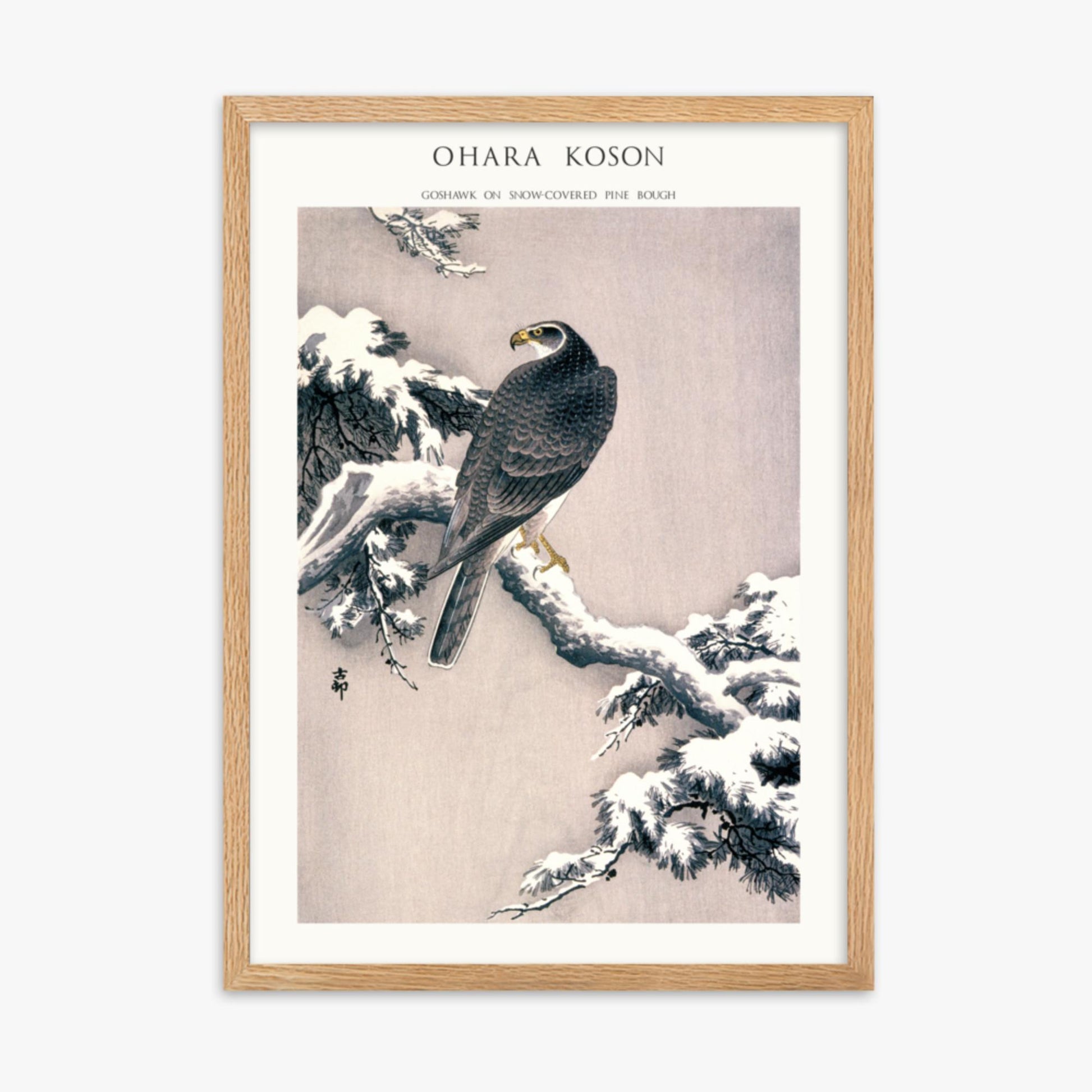 Ohara Koson - Goshawk on Snow-covered Pine Bough  - Decoration 50x70 cm Poster With Oak Frame