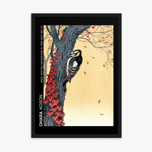 Ohara Koson - Great spotted woodpecker in tree with red ivy - Decoration 50x70 cm Poster With Black Frame