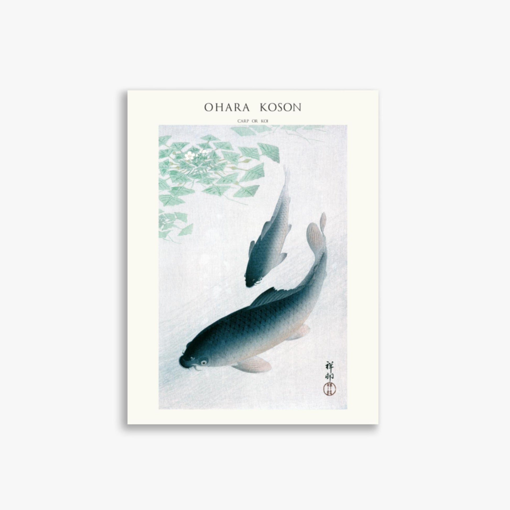 Ohara Koson - Carp or Koi - Decoration 30x40 cm Poster