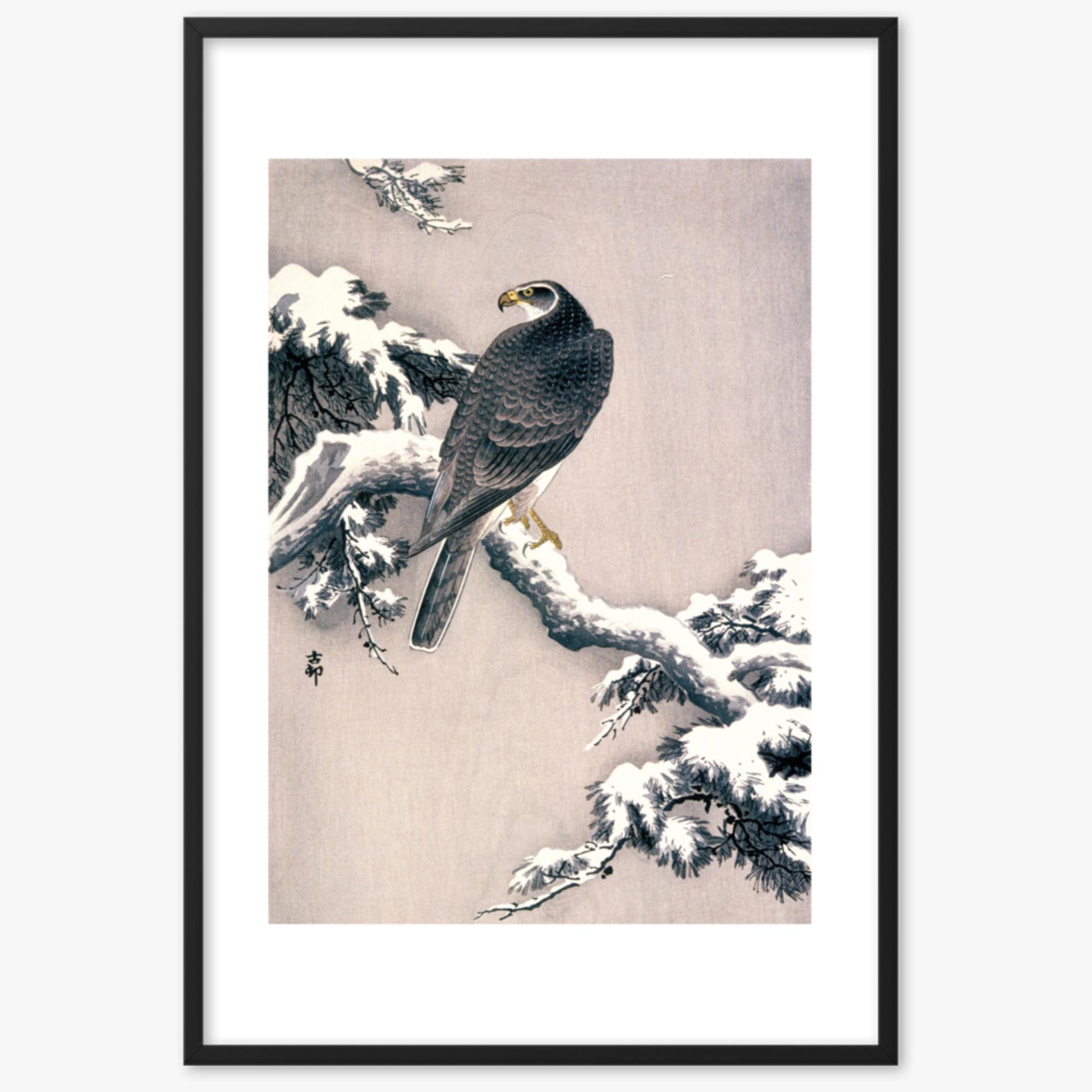 Ohara Koson - Goshawk on Snow-covered Pine Bough  61x91 cm Poster With Black Frame