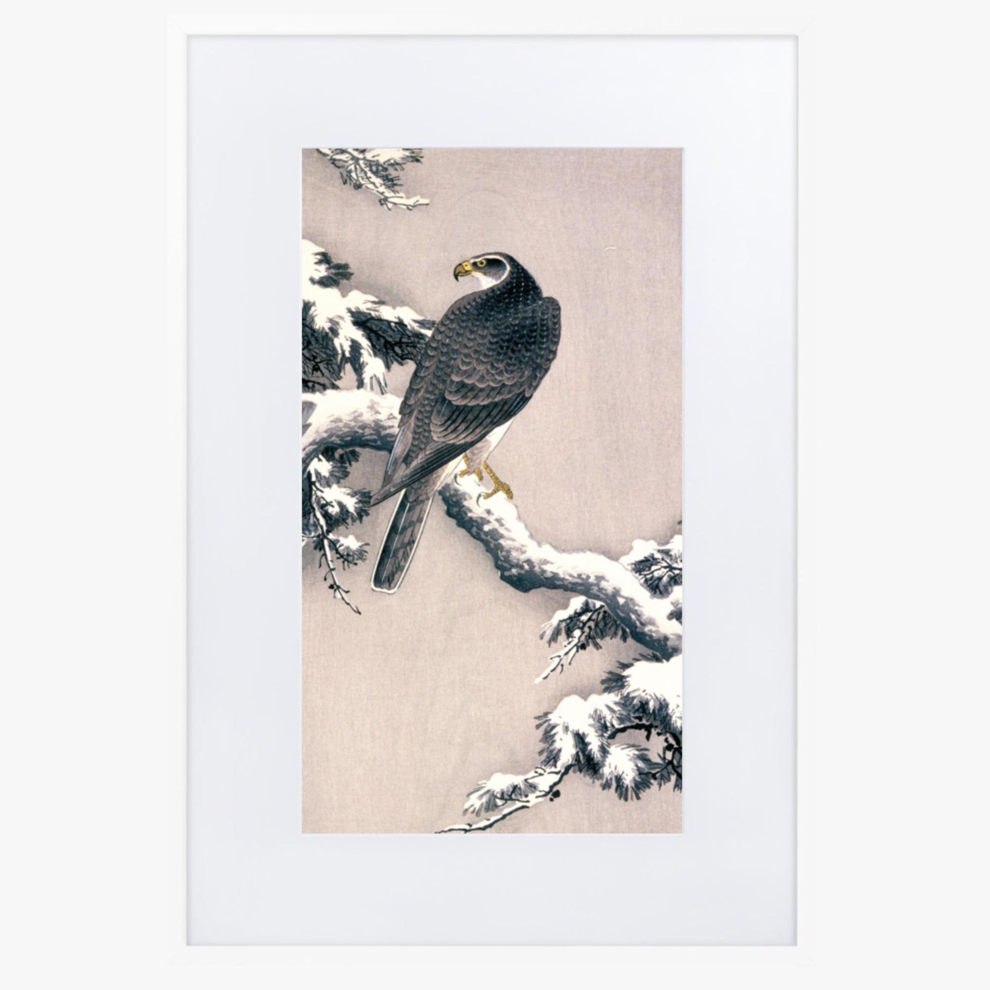 Ohara Koson - Goshawk on Snow-covered Pine Bough  61x91 cm Poster With White Frame