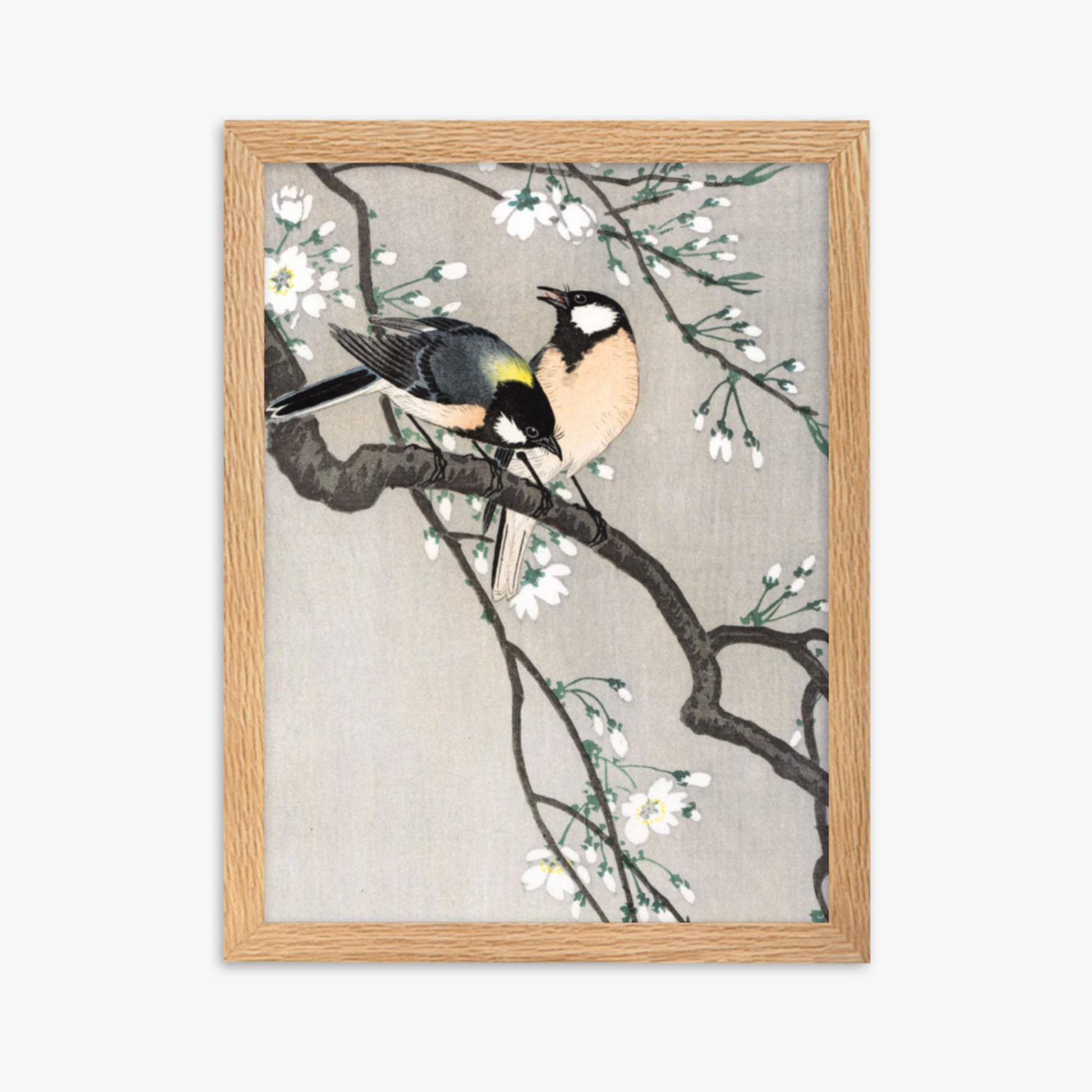 Ohara Koson - Tits on Cherry Branch 30x40 cm Poster With Oak Frame