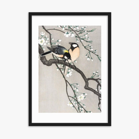 Ohara Koson - Tits on Cherry Branch 50x70 cm Poster With Black Frame