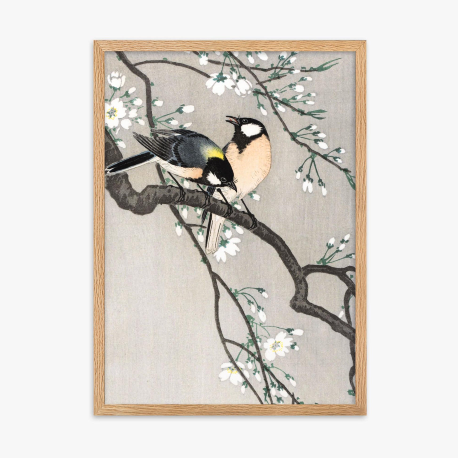 Ohara Koson - Tits on Cherry Branch 50x70 cm Poster With Oak Frame