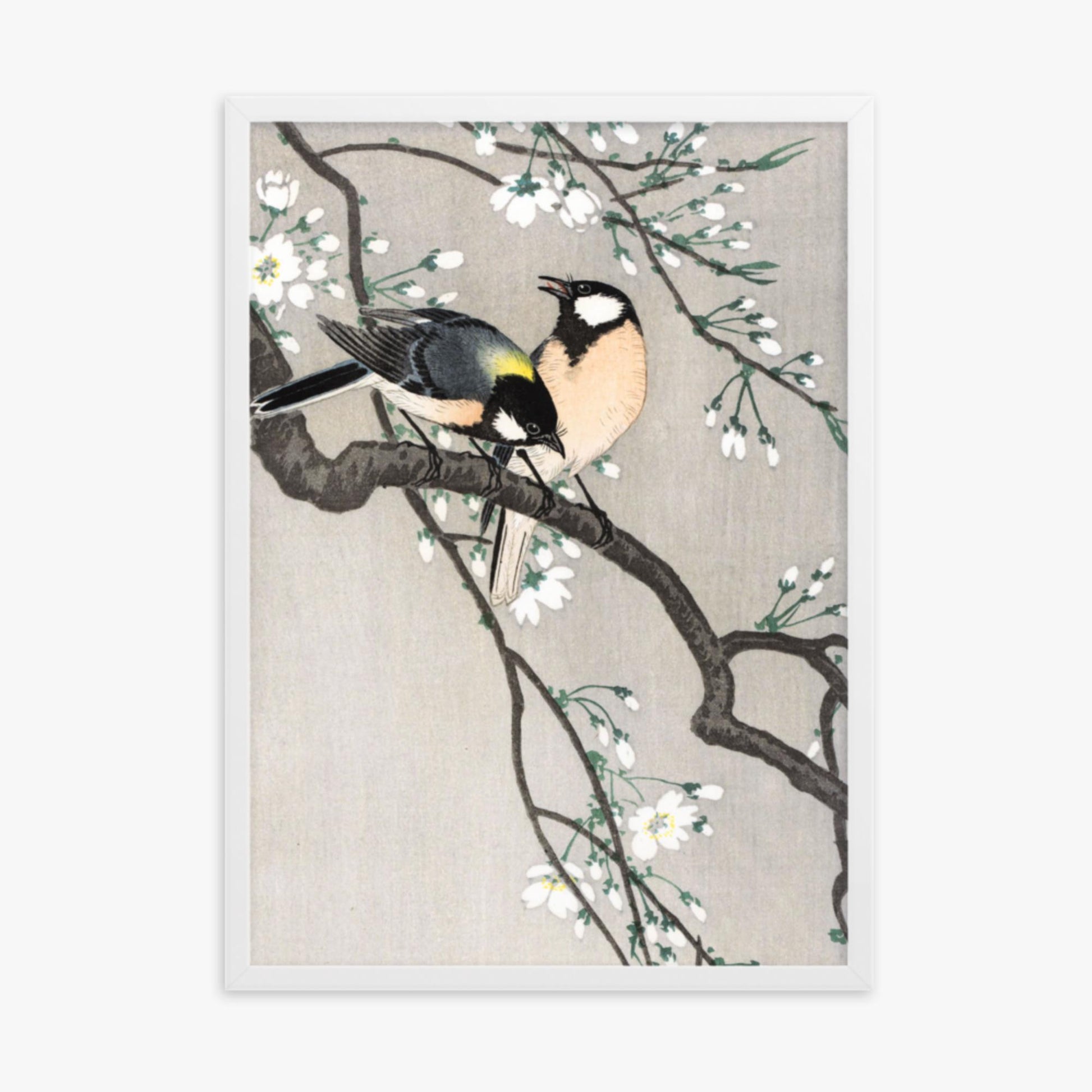 Ohara Koson - Tits on Cherry Branch 50x70 cm Poster With White Frame