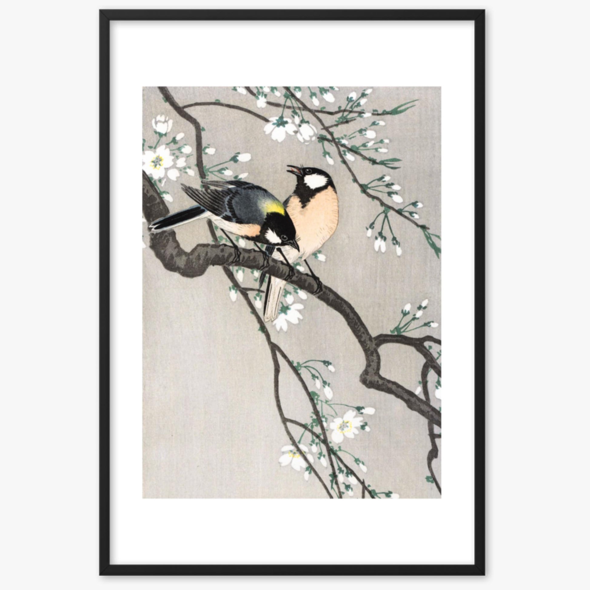 Ohara Koson - Tits on Cherry Branch 61x91 cm Poster With Black Frame