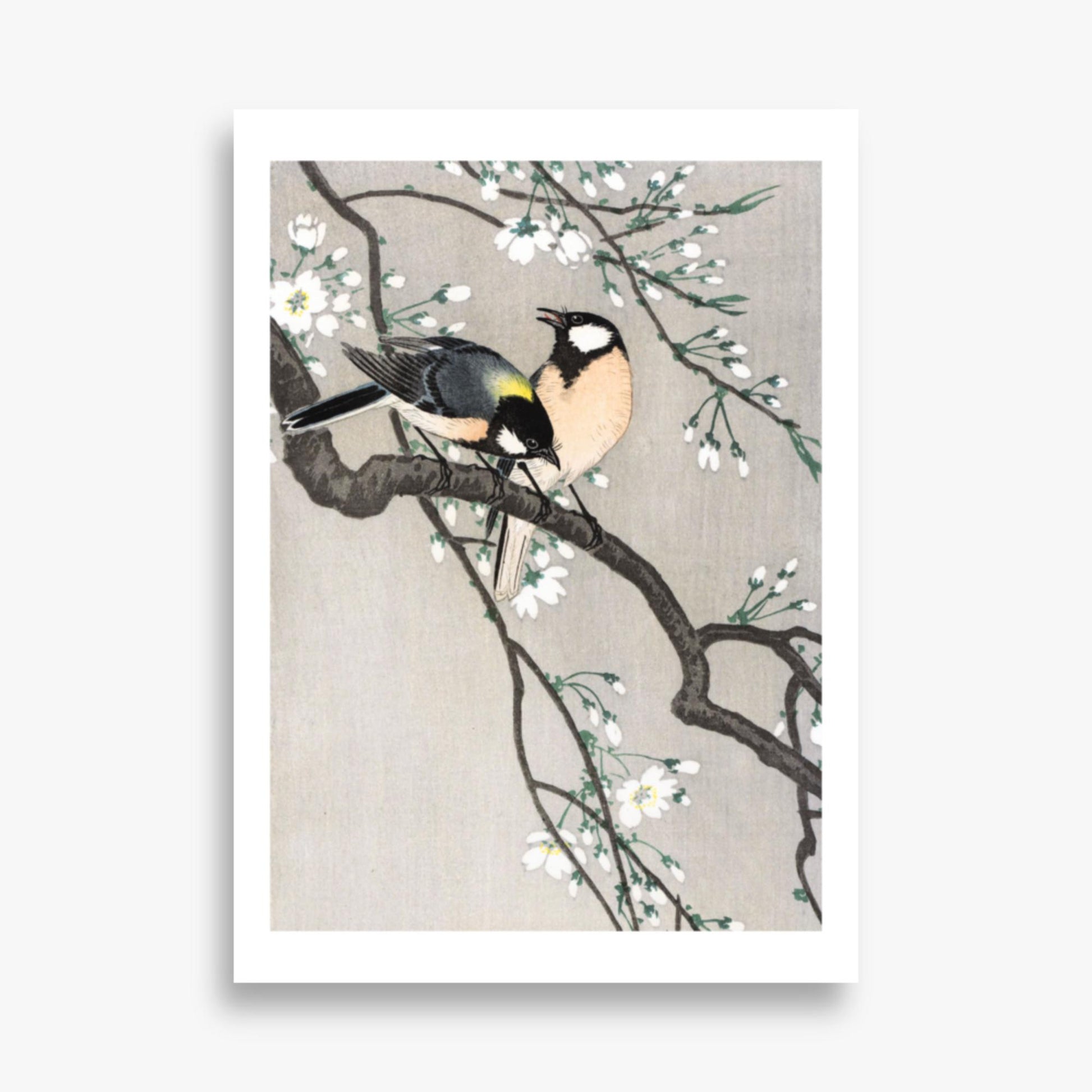 Ohara Koson - Tits on Cherry Branch 50x70 cm Poster