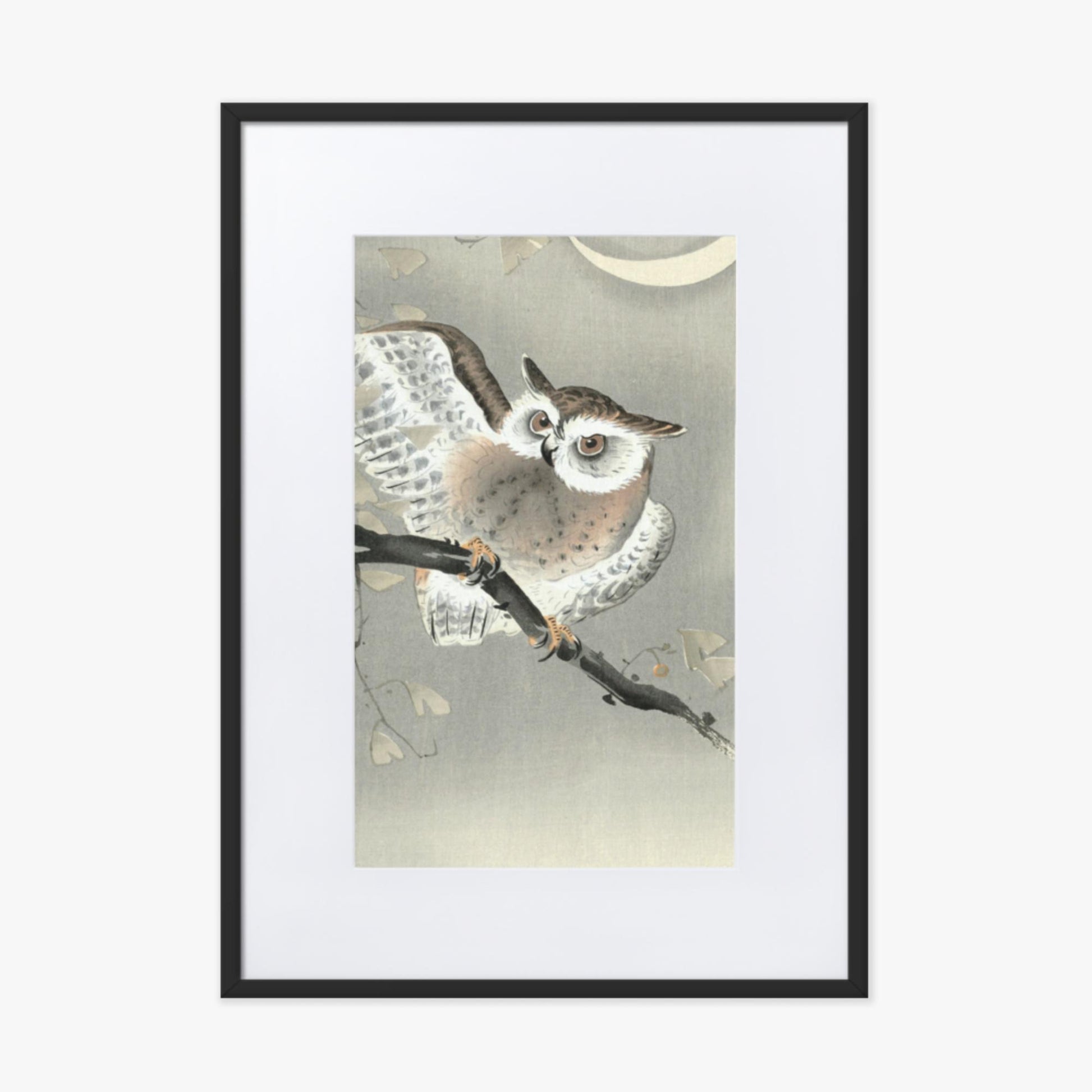 Ohara Koson - Long-Eared Owl in Ginkgo 50x70 cm Poster With Black Frame