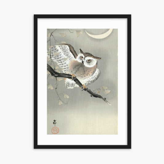 Ohara Koson - Long-Eared Owl in Ginkgo 50x70 cm Poster With Black Frame