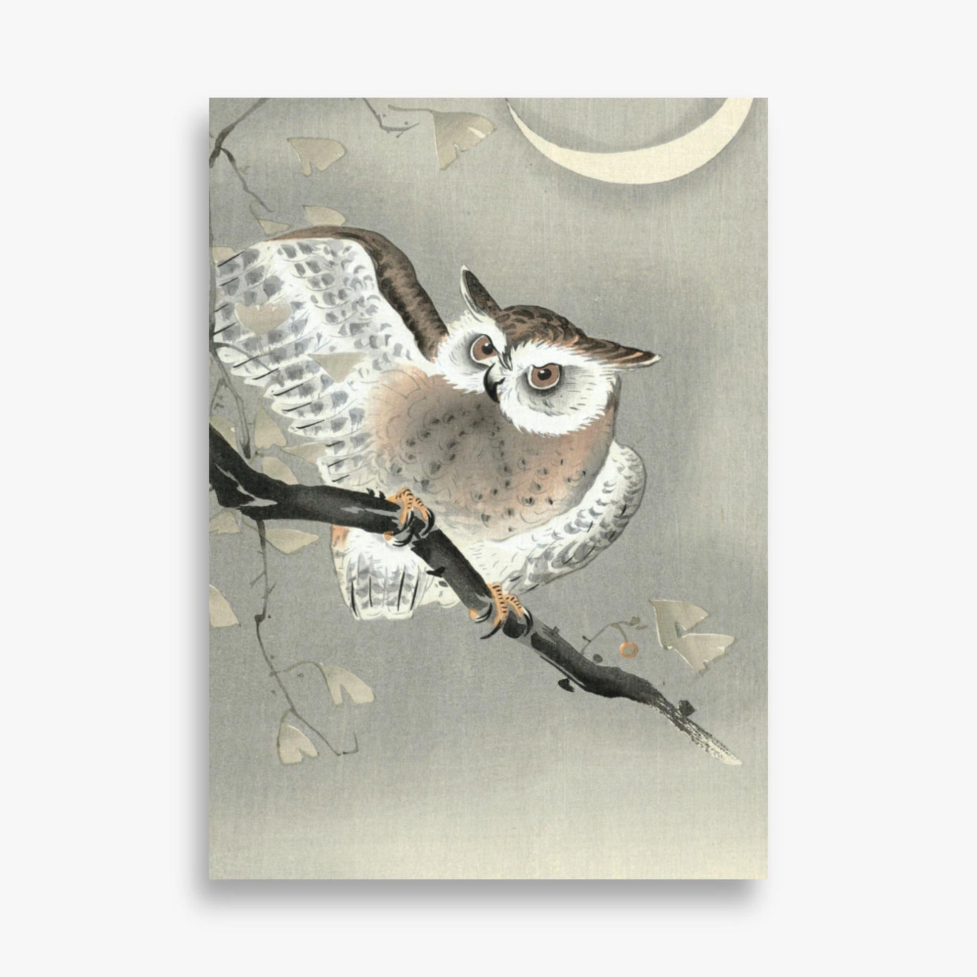 Ohara Koson - Long-Eared Owl in Ginkgo 50x70 cm Poster