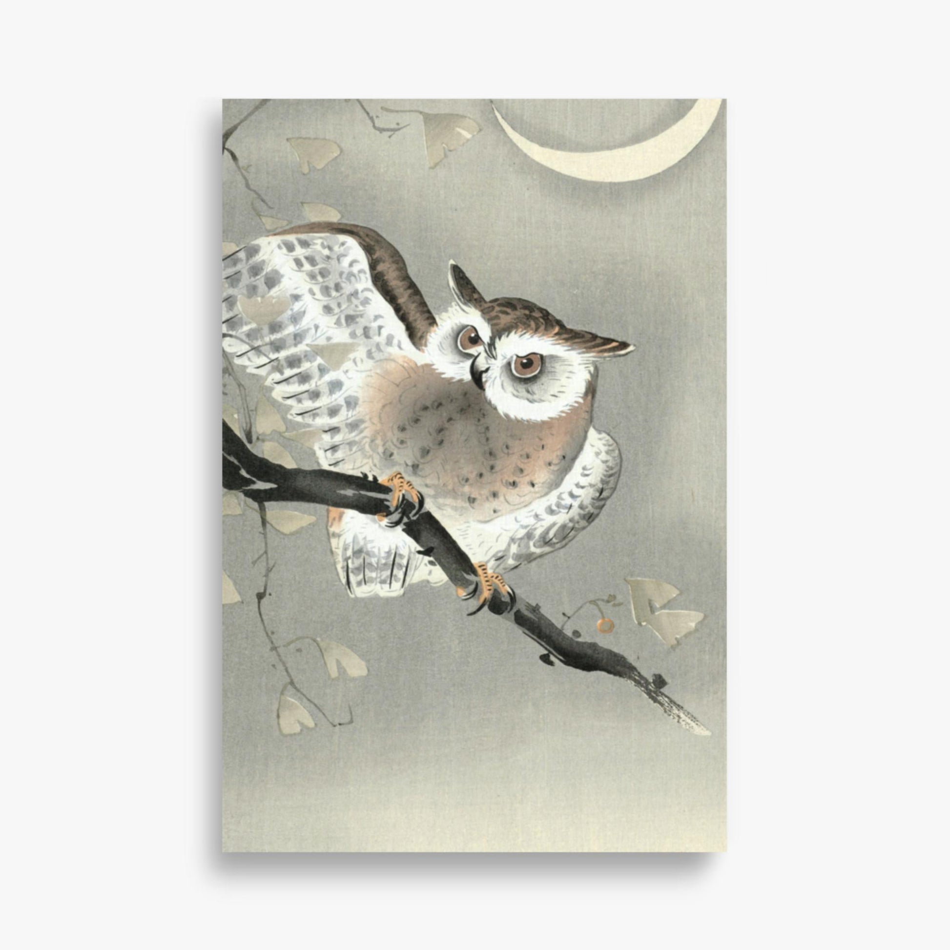 Ohara Koson - Long-Eared Owl in Ginkgo 61x91 cm Poster