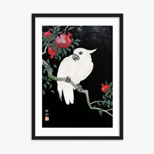Ohara Koson - Cockatoo and Pomegranate 50x70 cm Poster With Black Frame