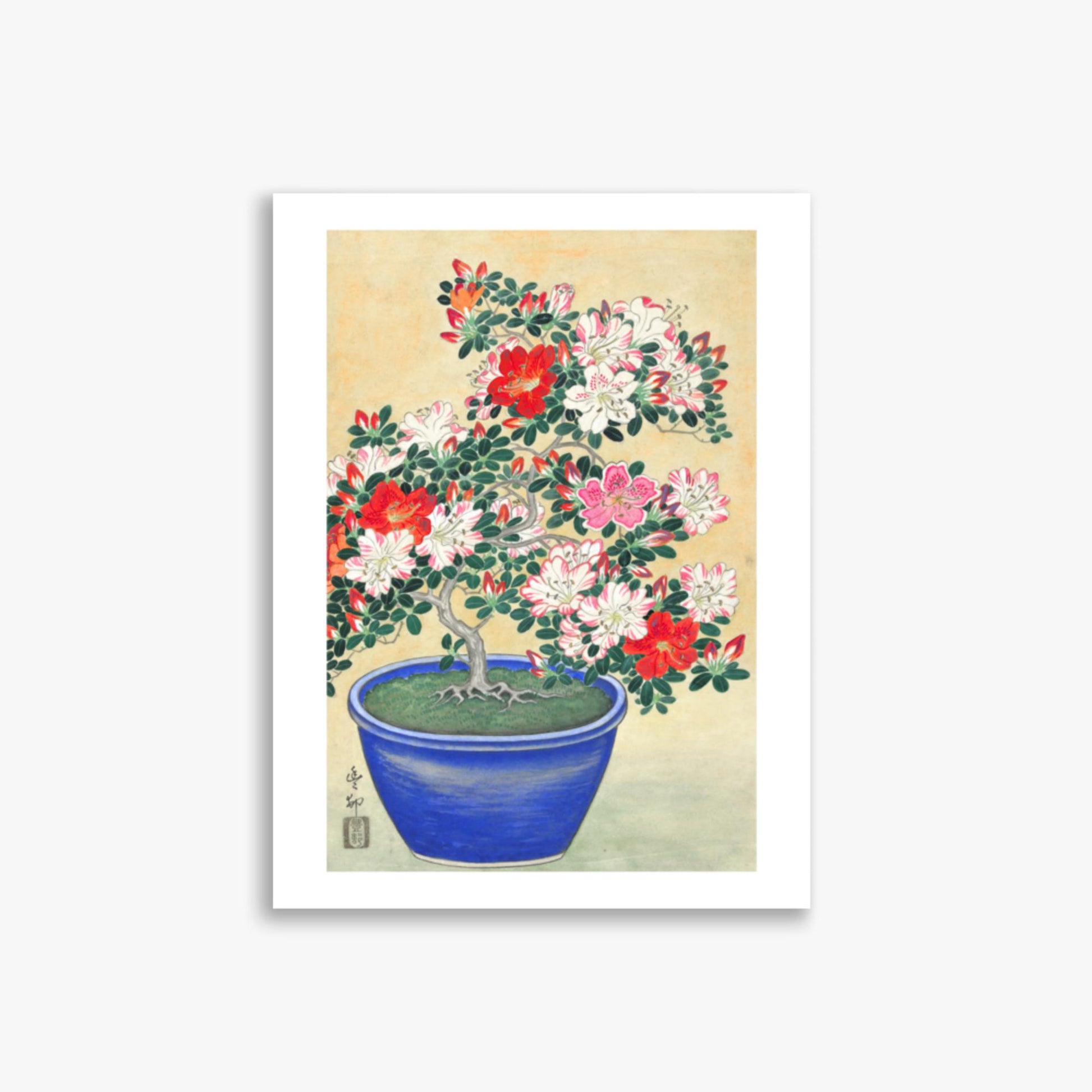 Ohara Koson - Blooming Azalea in Blue Pot 30x40 cm Poster