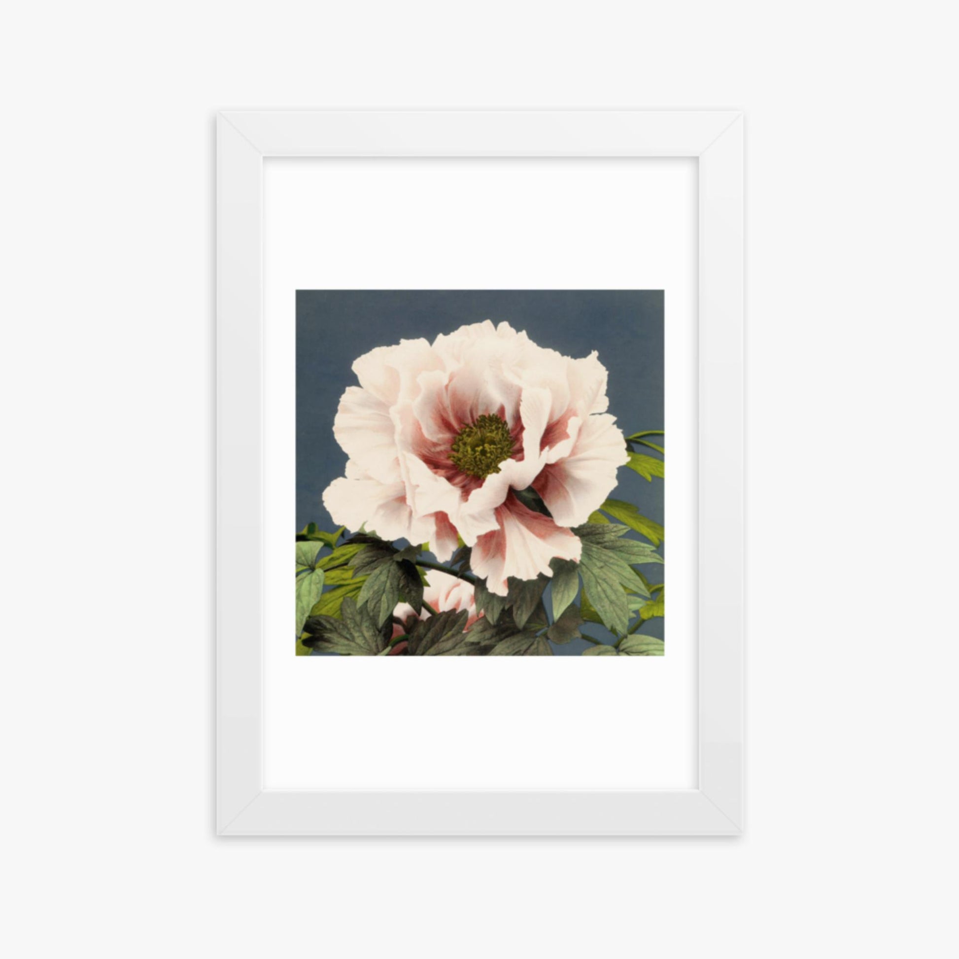 Ogawa Kazumasa - Peony 21x30 cm Poster With White Frame