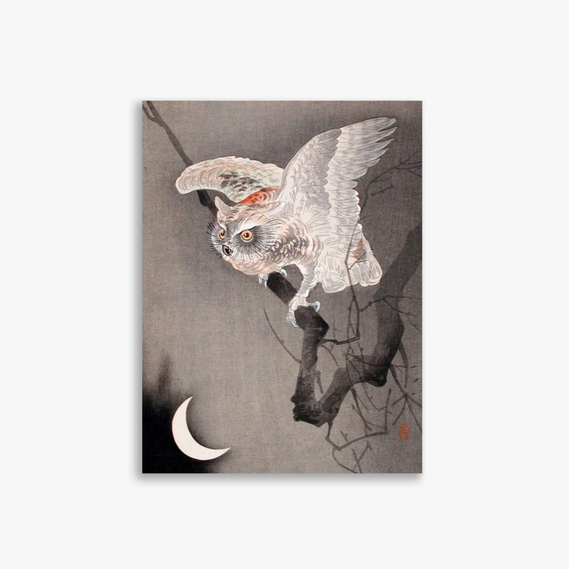 Ohara Koson - Scops Owl in Moonlight  30x40 cm Poster