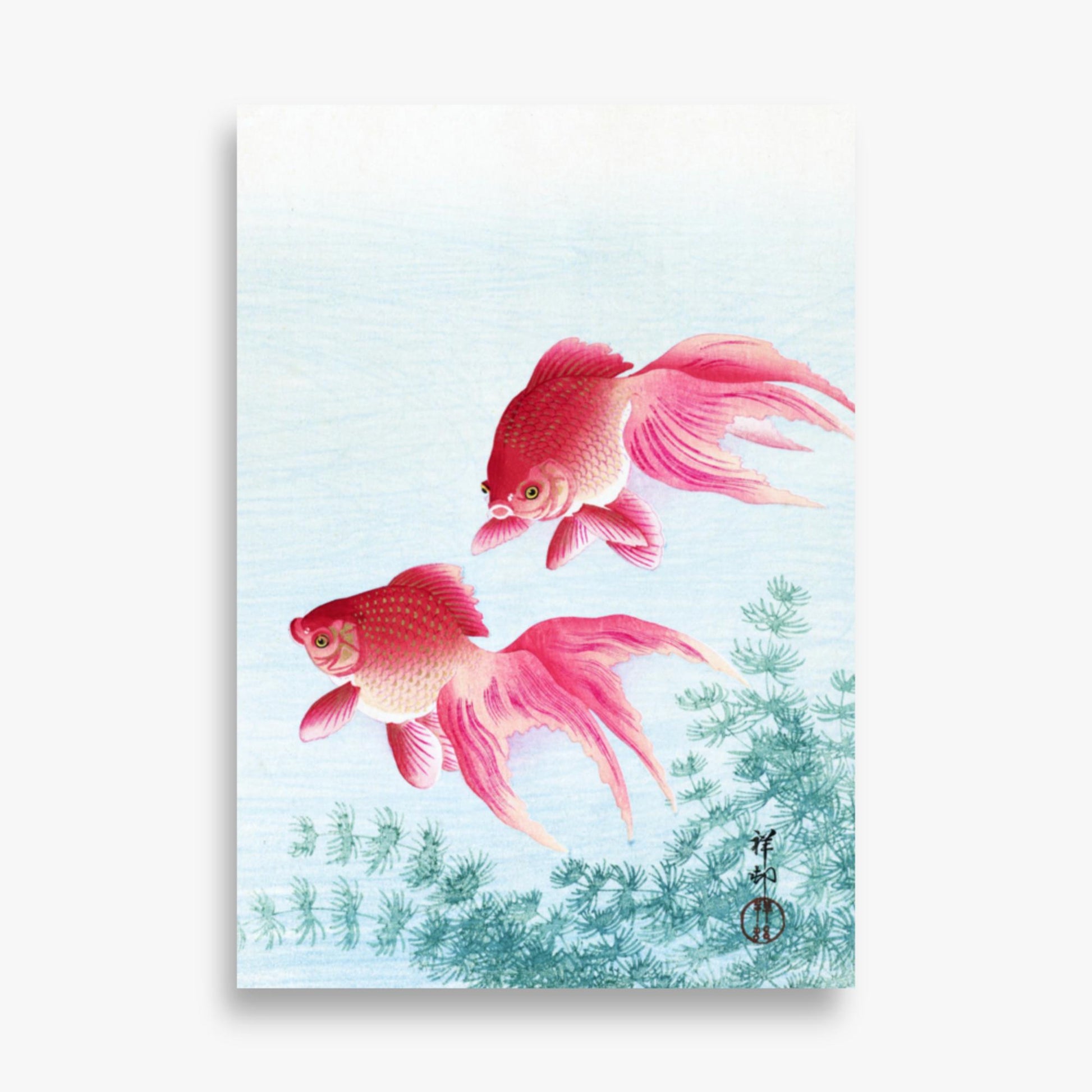 Ohara Koson - Two veil goldfish 70x100 cm Poster