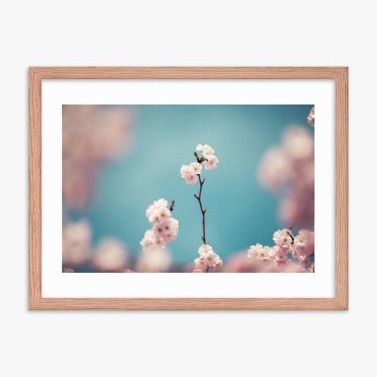Pastel Colored Cherry Blossoms 18x24 in Poster With Oak Frame
