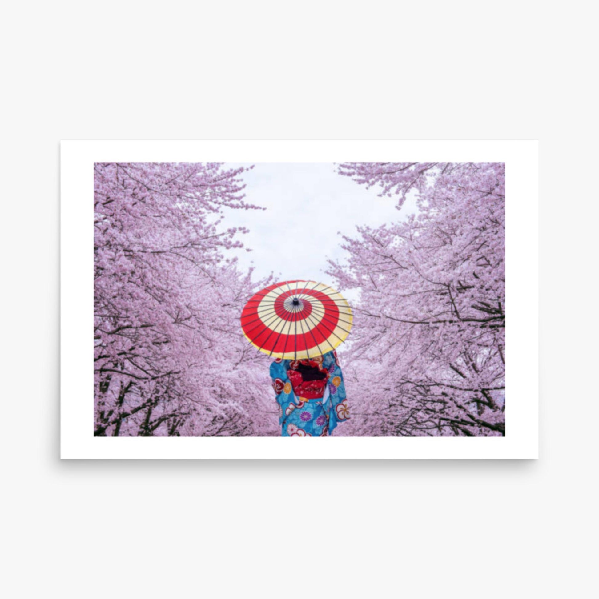 Asian woman wearing japanese traditional kimono and cherry blossom in spring 24x36 in Poster