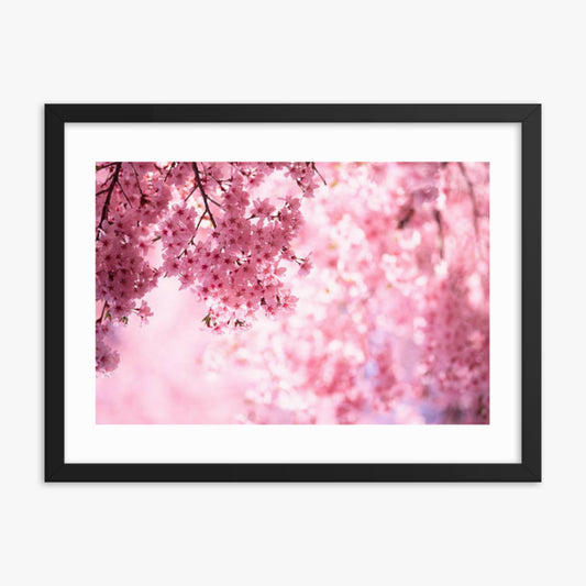 Pink Cherry Blossoms 18x24 in Poster With Black Frame