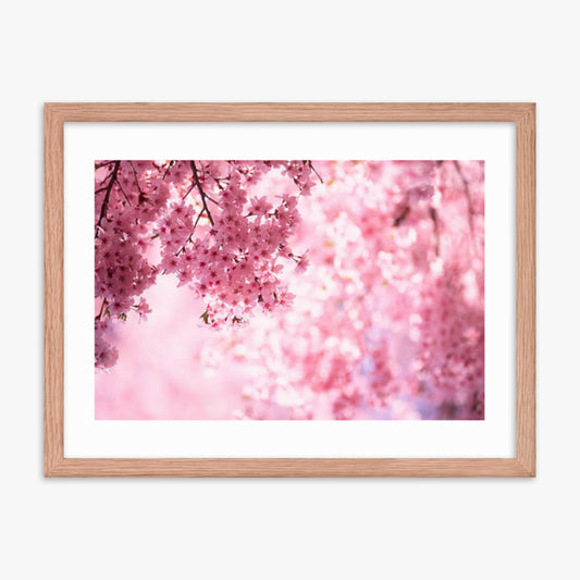 Pink Cherry Blossoms 18x24 in Poster With Oak Frame