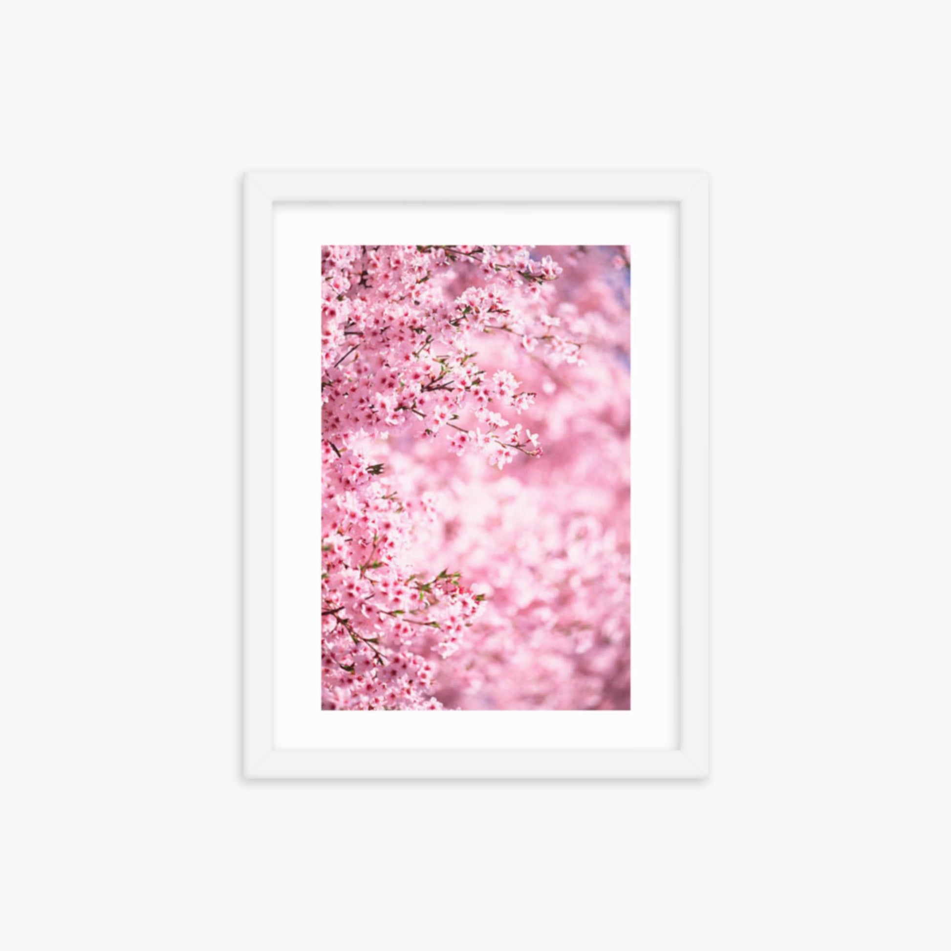 Pink Cherry Blossoms 2 12x16 in Poster With White Frame