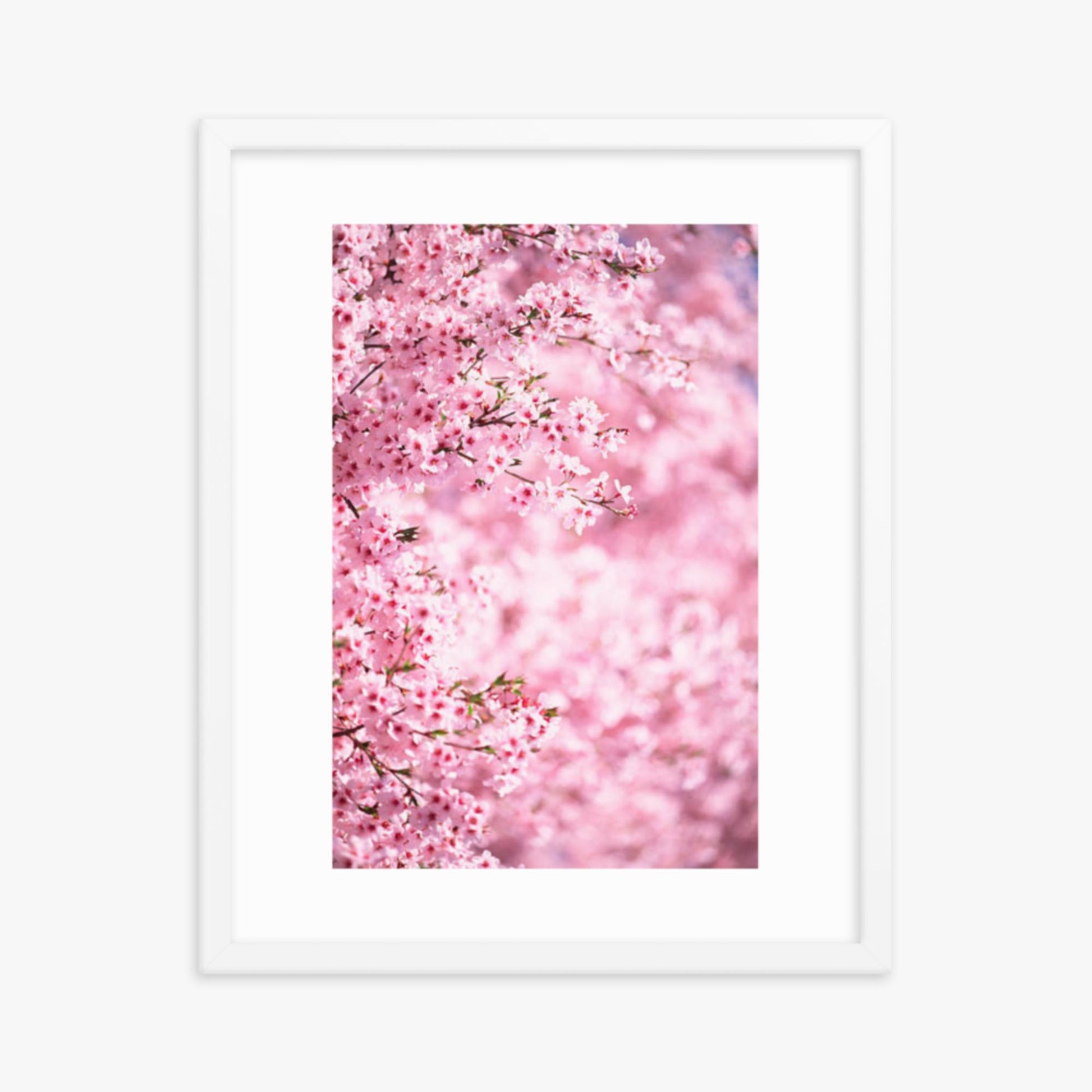 Pink Cherry Blossoms 2 16x20 in Poster With White Frame