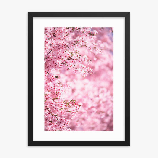 Pink Cherry Blossoms 2 18x24 in Poster With Black Frame