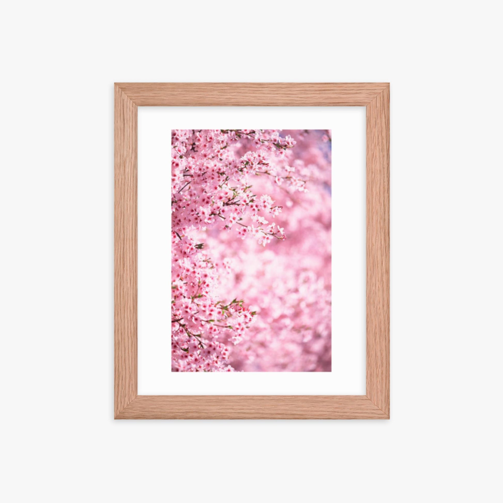 Pink Cherry Blossoms 2 8x10 in Poster With Oak Frame