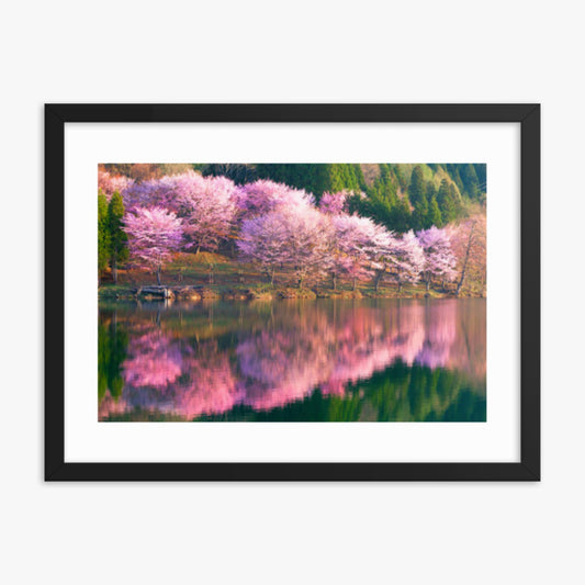 Pink cherry blossoms reflected in Lake Nakatsuna 18x24 in Poster With Black Frame