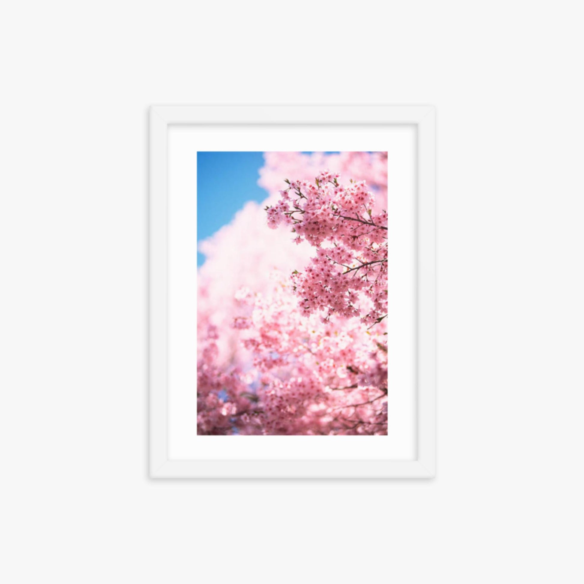 Cherry Blossoms 2 12x16 in Poster With White Frame