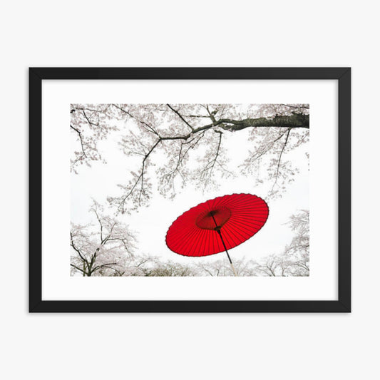 Japanese Umbrella 18x24 in Poster With Black Frame