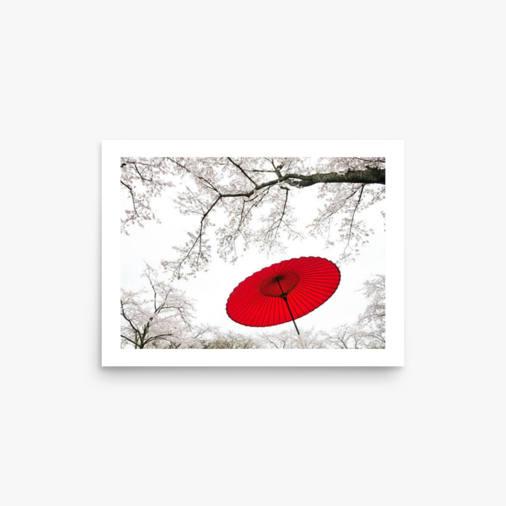 Japanese Umbrella 12x16 in Poster