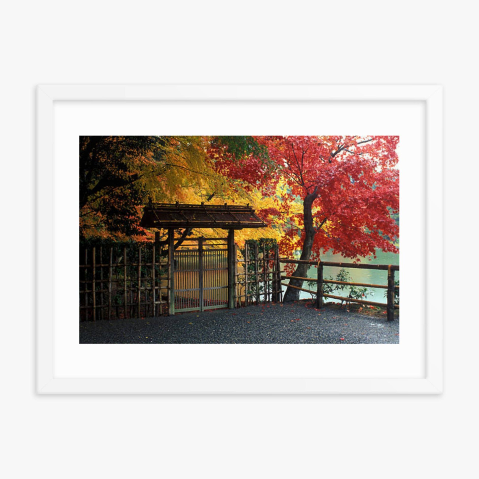 Entrace to Japanese Garden With Autumn Trees 18x24 in Poster With White Frame