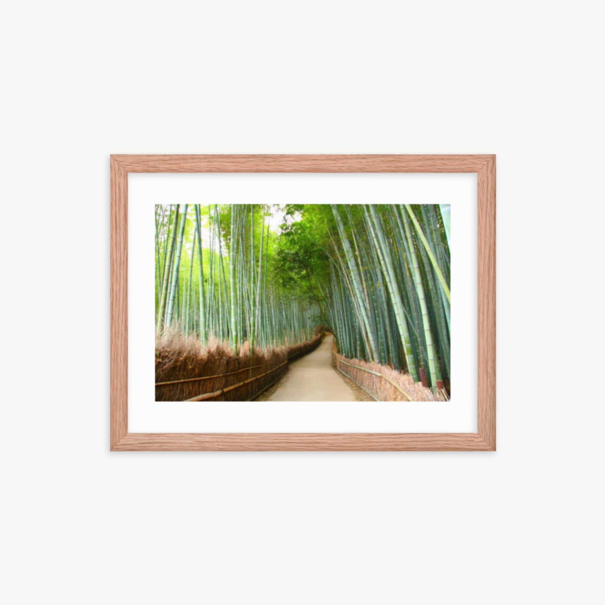 Bamboo grove in Kyoto 12x16 in Poster With Oak Frame