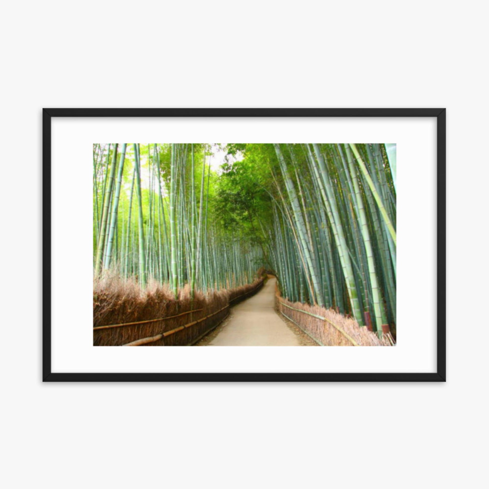 Bamboo grove in Kyoto 24x36 in Poster With Black Frame